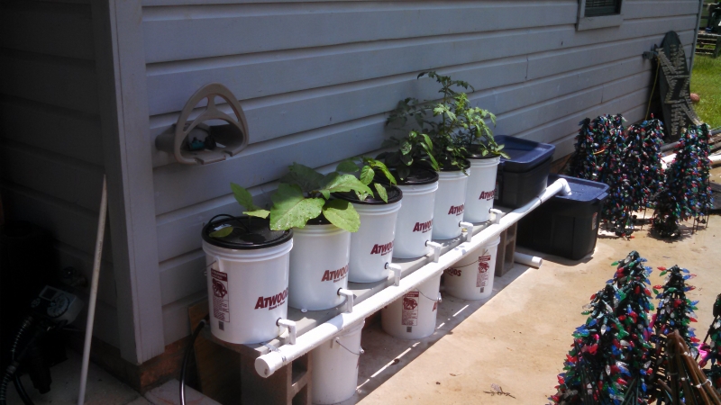 Hfi Forum Topic 5 Gallon Buckets 2 2